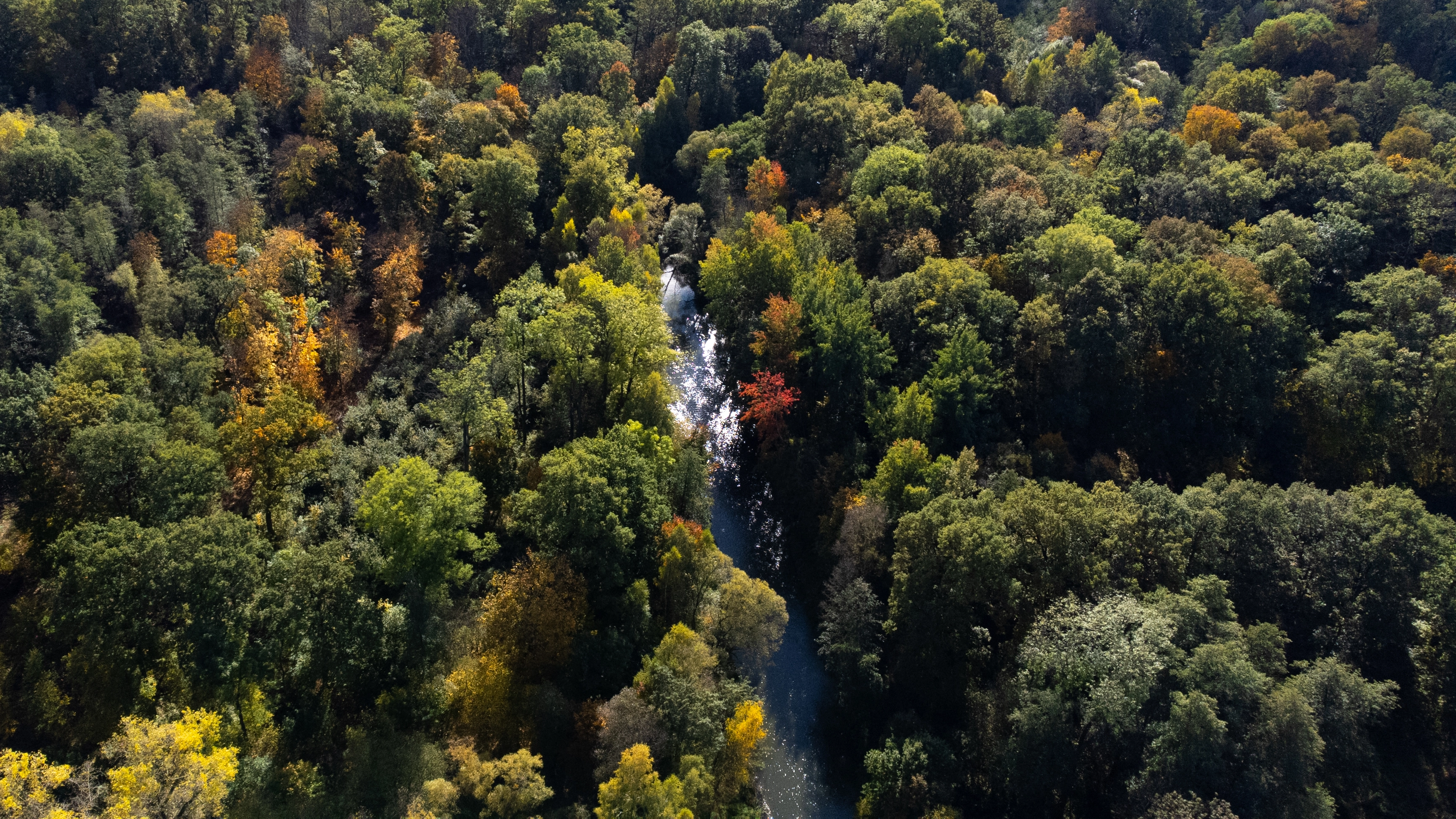 Jesienny krajobraz Doliny Bystrzycy - kolorowe liście i jesienna atmosfera