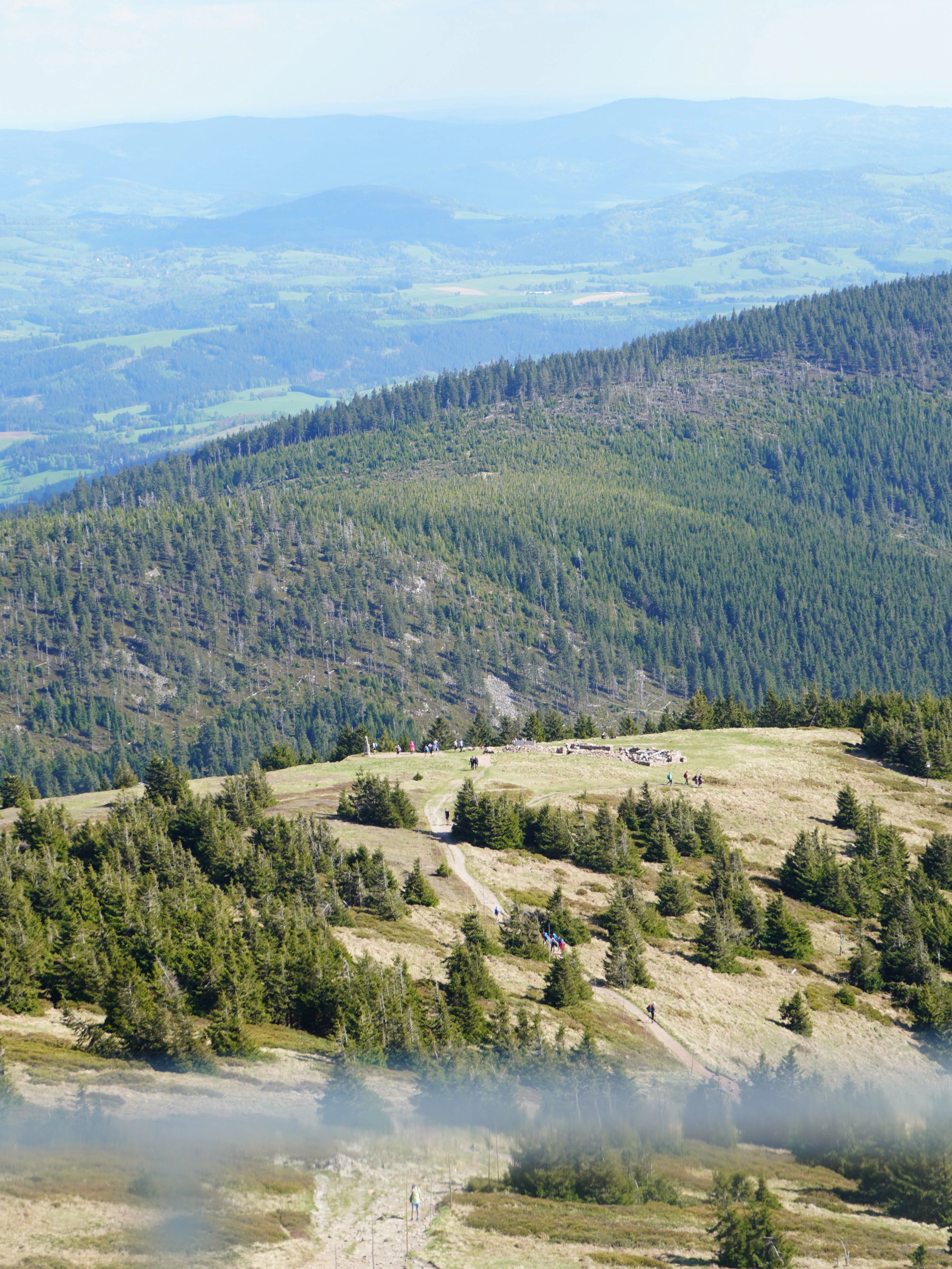 Śnieżnik — widok z wieży widokowej na szczycie