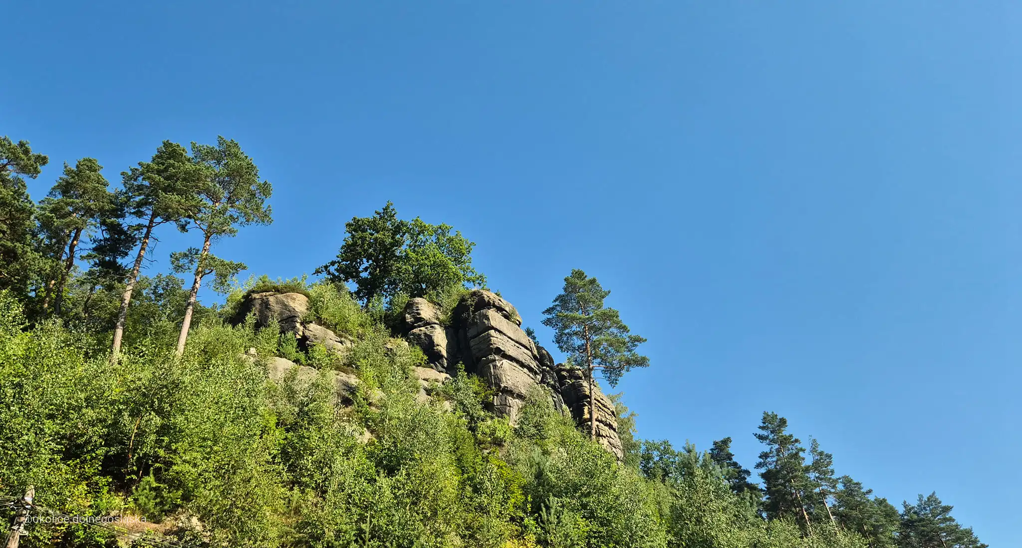 skałki lwóweckie widziane z dołu