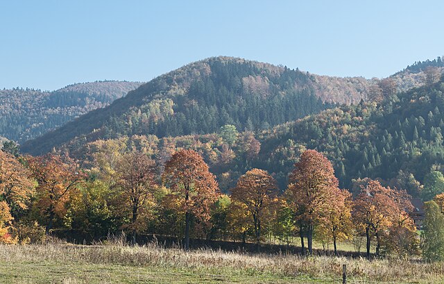 Góry Sowie — pasma i lasy
